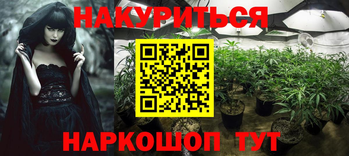 Хасавюрт  Шишки марихуана White Widow  Конопля гибрид  Каннабис планчик  Вход с VPN 